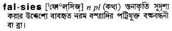 Falsies meaning in bengali
