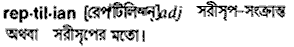 Reptilian meaning in bengali