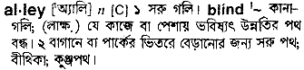 Alley meaning in bengali