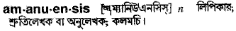 Amanuensis meaning in bengali