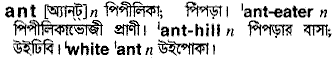 Ant meaning in bengali