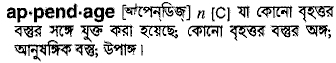 Appendage meaning in bengali