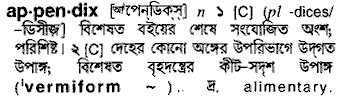 Appendix meaning in bengali