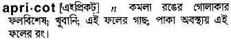 Apricot meaning in bengali