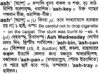 Ash meaning in bengali