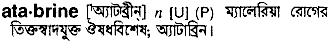 atabrine 
 meaning in bengali