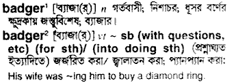 Badger meaning in bengali