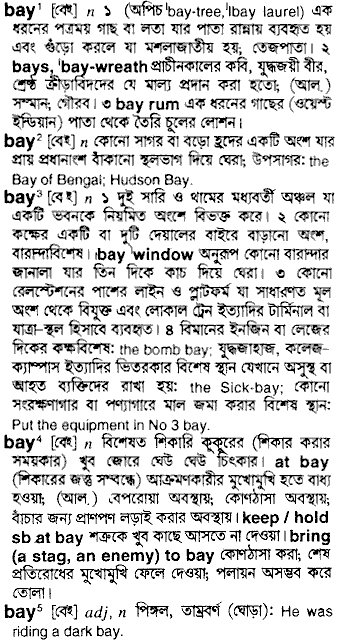 Bay meaning in bengali