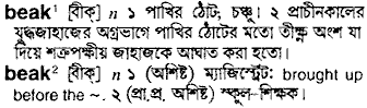 Beak meaning in bengali