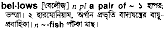 Bellows meaning in bengali