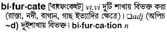 Bifurcate meaning in bengali