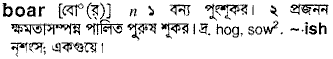 Boar meaning in bengali