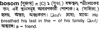 Bosom meaning in bengali