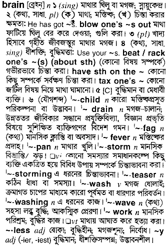 Brain meaning in bengali