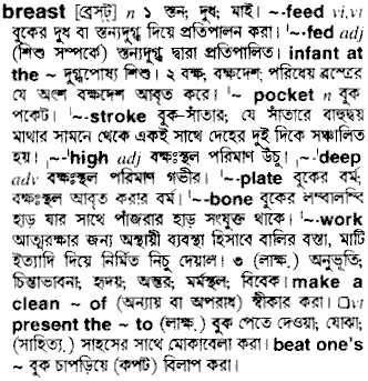 Breast meaning in bengali