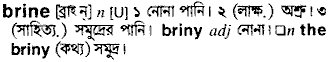 Brine meaning in bengali