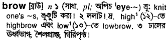 Brow meaning in bengali