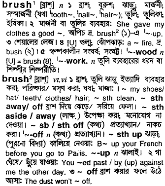 Brush meaning in bengali