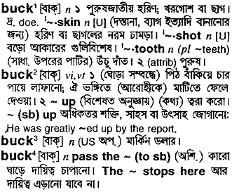 Buck meaning in bengali