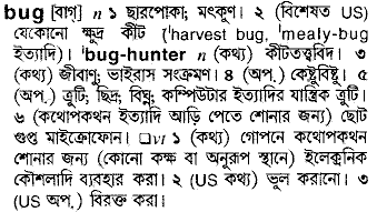 Bug meaning in bengali