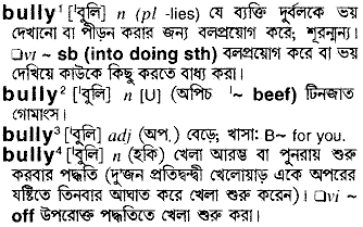 Bully meaning in bengali