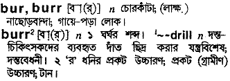 Burr meaning in bengali