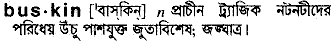 Buskin meaning in bengali