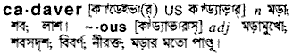 Cadaver meaning in bengali