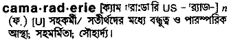 Camaraderie meaning in bengali