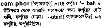 Camphor meaning in bengali