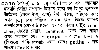 Cane meaning in bengali