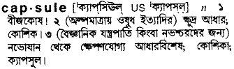 Capsule meaning in bengali