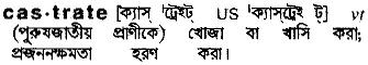 Castrate meaning in bengali