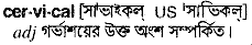 Cervical meaning in bengali