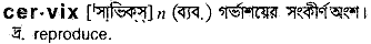 Cervix meaning in bengali