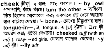 Cheek meaning in bengali