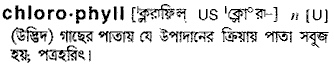 chlorophyll 
 meaning in bengali