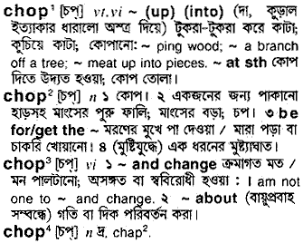 Chop meaning in bengali