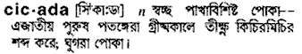 Cicada meaning in bengali