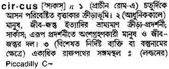 Circus meaning in bengali