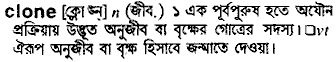 Clone meaning in bengali