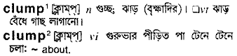 Clump meaning in bengali