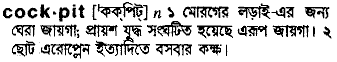 Cockpit meaning in bengali