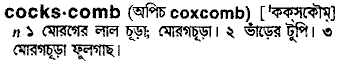 Cockscomb meaning in bengali