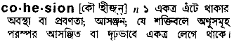 Cohesion meaning in bengali