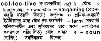 Collective meaning in bengali