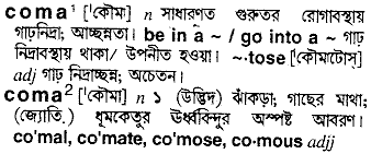 Coma meaning in bengali