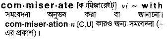 Commiserate meaning in bengali