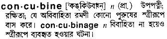 Concubine meaning in bengali