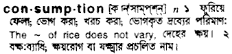 Consumption meaning in bengali